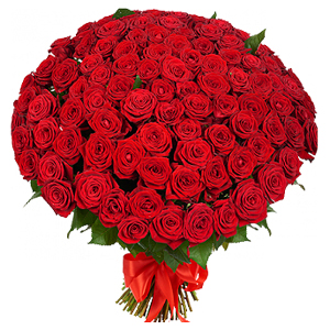 buchet-din-101-de-trandafiri-rosii-1yBt9[1]